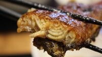 ｢1枚1207円｣吉野家の鰻重が"高め"でも人気な訳