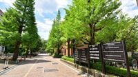 ｢大学無償化の罠｣その先に訪れる不都合な未来